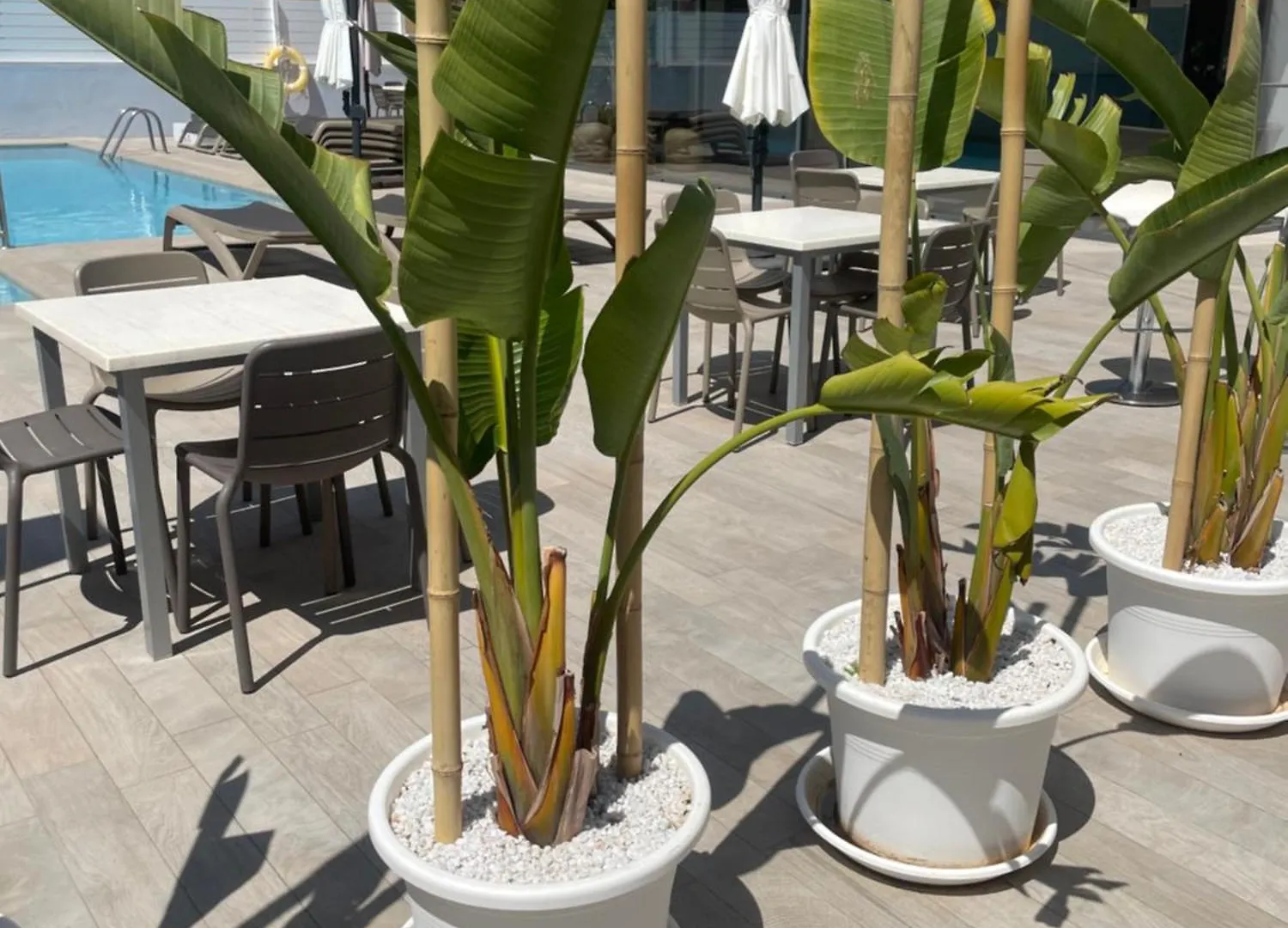 Apartamentos Vistamar II Playa d'en Bossa 0*,  Spain